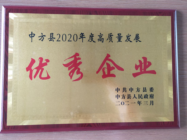 廣東2020年度高質量發(fā)展優(yōu) 秀企業(yè)