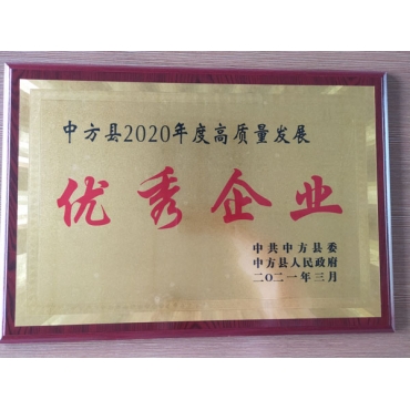 廣西2020年度高質(zhì)量發(fā)展優(yōu) 秀企業(yè)